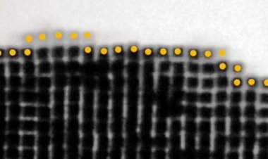 Videos of gold nanoparticles snapping together show how some crystals grow
