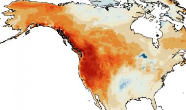 The summer of 2021 was the Pacific Northwest’s hottest in a millennium
