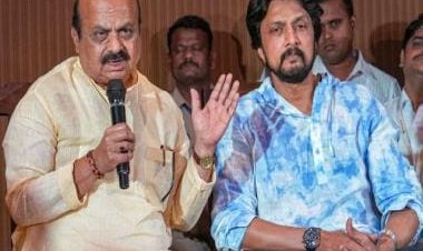 Explained: Will actor Kichcha Sudeep be a hit for the BJP in the Karnataka Assembly elections?