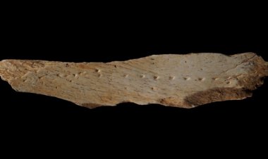 A prehistoric method for tailoring clothes may be written in bone