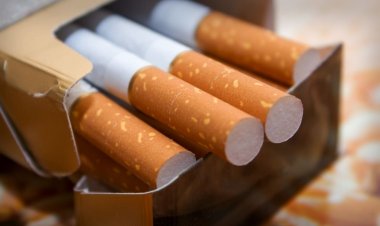 Morningstar Dividend Analysis: Altria, TC Energy, Vodafone