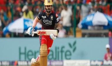 IPL 2023: 'There was definitely some fire in Virat's belly', Shane Watson on Kohli-Ganguly 'no handshake' controversy
