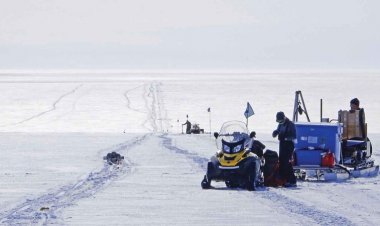 A massive cavern beneath a West Antarctic glacier is teeming with life