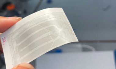 A graphene “tattoo” could help hearts keep their beat