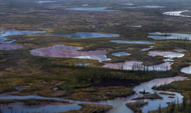 Thawing permafrost may unleash industrial pollution across the Arctic