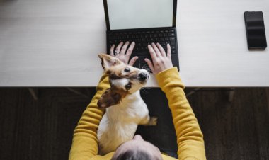 Pets and people bonded during the pandemic. But owners were still stressed and lonely