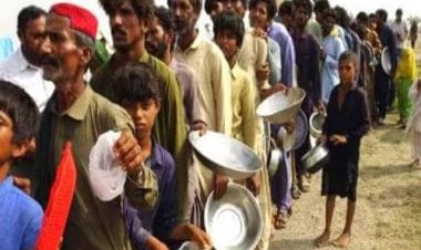 Pakistan Food Crisis: Acute shortage of wheat may lead to anarchy 