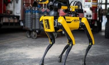 Robot dog can talk, thanks to ChatGPT; Twitter feels 'future is scary'