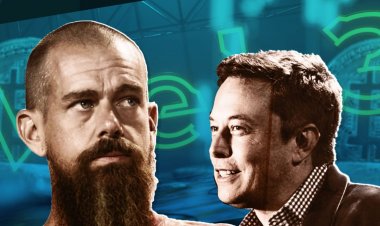 Elon Musk Loses Unique Ally