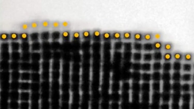 Videos of gold nanoparticles snapping together show how some crystals grow