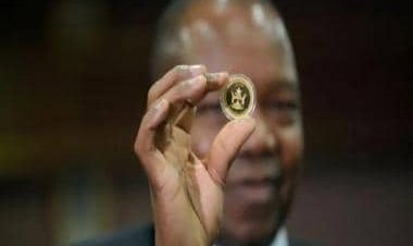 De-dollarization: Zimbabwe Central bank to launch gold-backed digital currency for transactions &amp; settlement