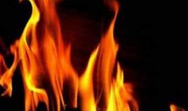 5 killed, 1 missing after explosion at China's chemical factory