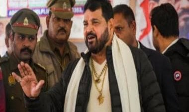 WFI sexual harassment case: Protest expanding like Shaheen Bagh, target isn't me but BJP, says Brij Bhushan Sharan Singh