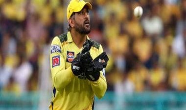 'Mahi is no longer playing as a player': Harbhajan, Kaif dissect Dhoni's future