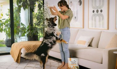 Dog Food Has Increased an Astonishing Amount Recently