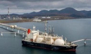 OPEC's share in India's oil imports falls to all-time low as Russian oil buy peaks