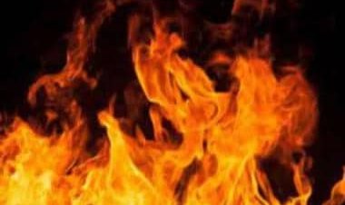 Peru: At least 27 workers killed in gold mine fire