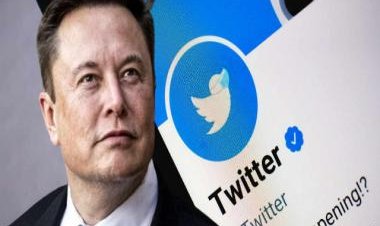 Twitter Purge: Elon Musk announces deletion of inactive accounts to free up unique usernames