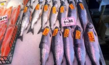 Ukraine War: Japan called out by Canada over imports of Russian seafood &amp; energy