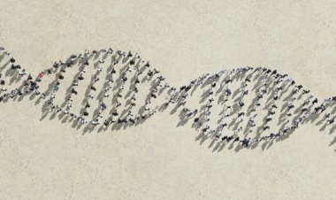 The new human pangenome could help unveil the biology of everyone