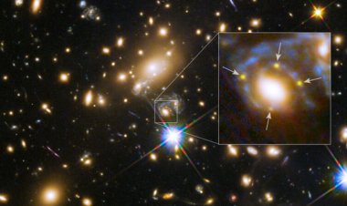 A reappearing supernova offers a new measure of the universe’s expansion