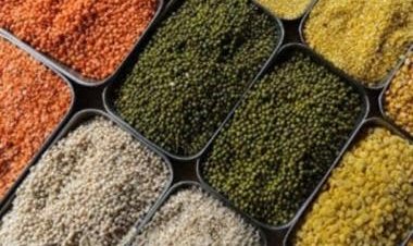 Centre plans to make India self-sufficient in pulses in next three years