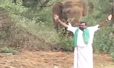Viral: Man teases elephant with folded hands; his 'antics' anger internet