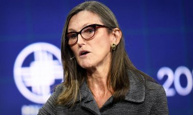 Cathie Wood Buys Millions of Shares of a Struggling Stock