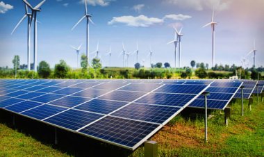 Why Solar Stocks Skyrocketed Friday