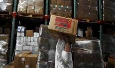 India's Growth Story: Overall exports up by 14%, at $775.87 billion in 2022-2023