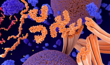 A rare mutation helped one man stave off Alzheimer’s for decades