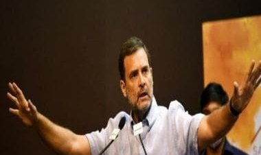 Karnataka Elections 2023: Rahul Gandhi meets Mallikarjun Kharge, discusses govt formation