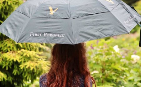 Failed Bank CEO Recalls What Happened 'Overnight' Before Collapse