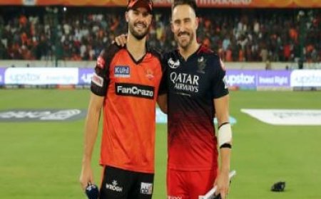 Highlights, SRH vs RCB, IPL 2023 Match 65, Full Cricket Score: Kohli's ton guides RCB to eight-wicket win over SRH