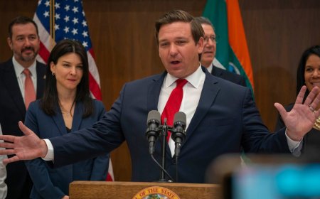 Relevant State's Governor Hits DeSantis on Disney Dropping New Florida Plan