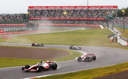 Formula One race car drivers tend to blink at the same places in each lap