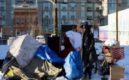 New York local body accused of promising money to homeless men, create anti-migrant rumours