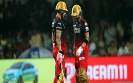 IPL 2023, Royal Challengers Bangalore vs Gujarat Titans LIVE Score: Gill helps GT beat RCB as MI make playoffs