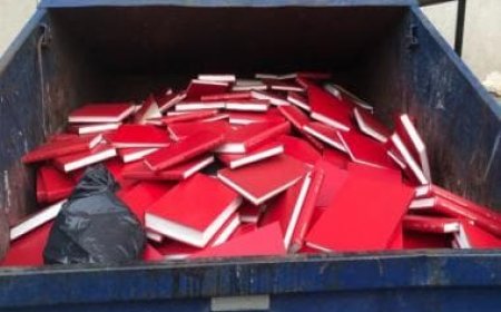 PhD students shocked after viral image from Canada varsity shows thesis being discarded in trash cans