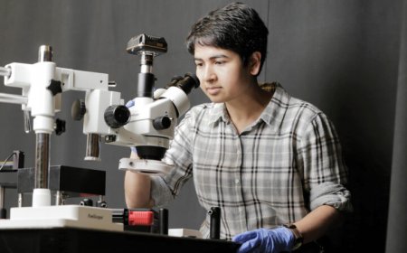 Deblina Sarkar is building microscopic machines to enter our brains