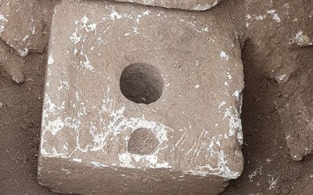 Oldest traces of a dysentery-causing parasite were found in ancient toilets