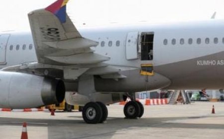 WATCH: Passenger held in South Korea for opening plane door mid-air