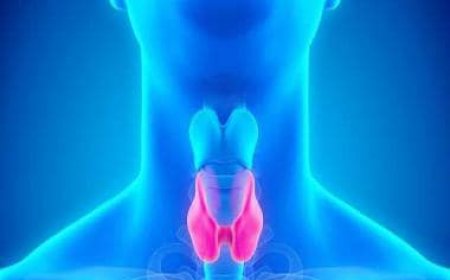 Thyroid: Symptoms, prevention and management of the disease
