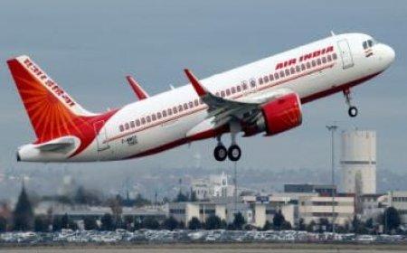 Delhi man beats up Air India crew mid-flight, banned for two years
