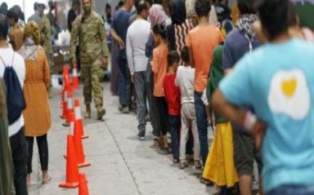 'Staggering neglect': Leading charity slams EU as just 271 Afghans resettled across bloc