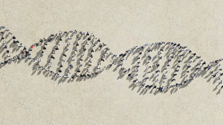 The new human pangenome could help unveil the biology of everyone