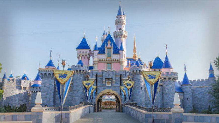 After Star Wars Failure, Disney Shares Plans For Themed Hotel