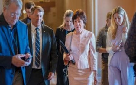 Senate passes debt limit bill, averts first-ever US default