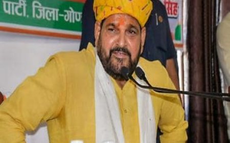 Demanding sexual favours, inappropriate touching, intimidation: Details of FIRs against WFI chief Brij Bhushan