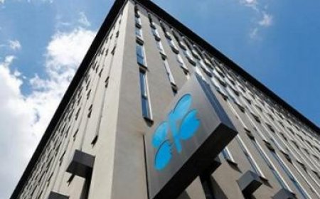OPEC+ weighs fresh production cuts to rein in weak prices
